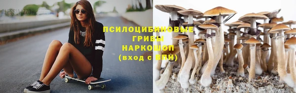 стафф Гусиноозёрск