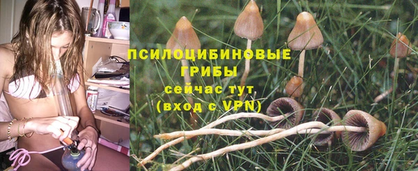 стафф Гусиноозёрск