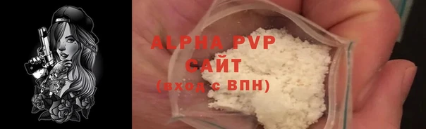 соль ск Новозыбков