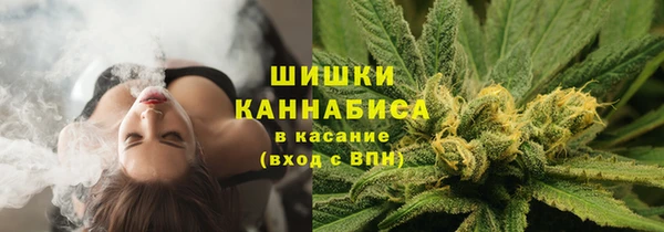стафф Гусиноозёрск